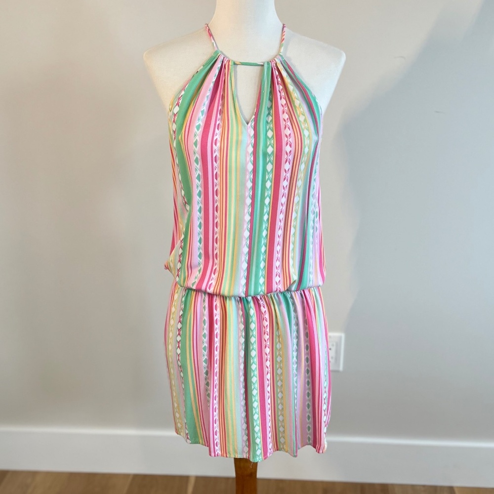 Southern Tide Striped Dress